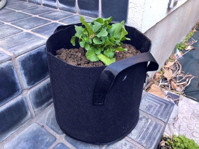 不織布プランターのデメリット対策