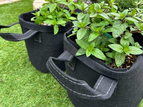 不織布プランターのメリット