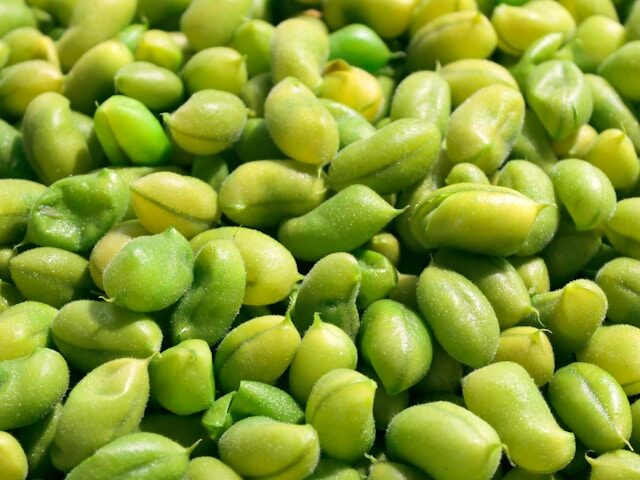 収穫時期の見極め方