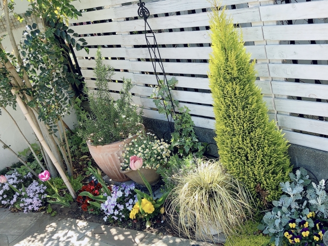 大きくならない木