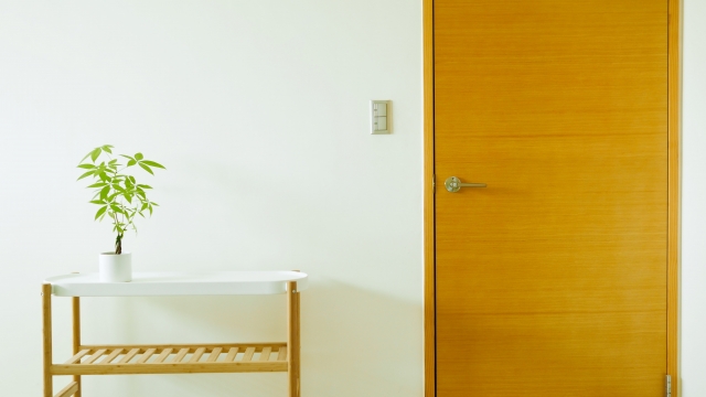 観葉植物のある部屋