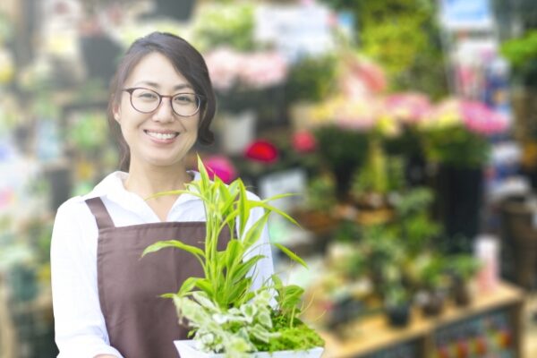 ホームセンターの観葉植物売り場