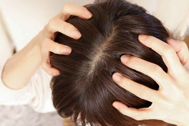 アロエで頭皮ケア