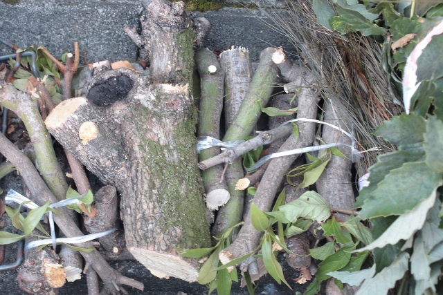 剪定した枝葉のゴミ